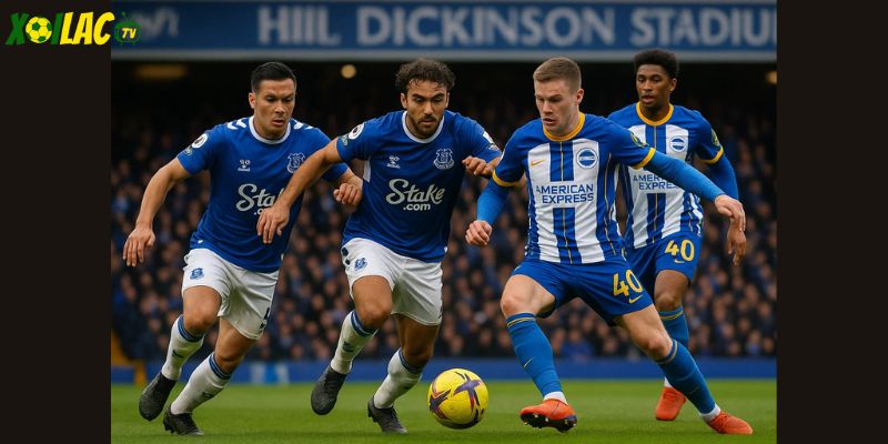 Trận Everton vs Brighton hứa hẹn nhiều cảm xúc tại Hill Dickinson Stadium. Trận Everton vs Brighton hứa hẹn nhiều cảm xúc tại Hill Dickinson Stadium.