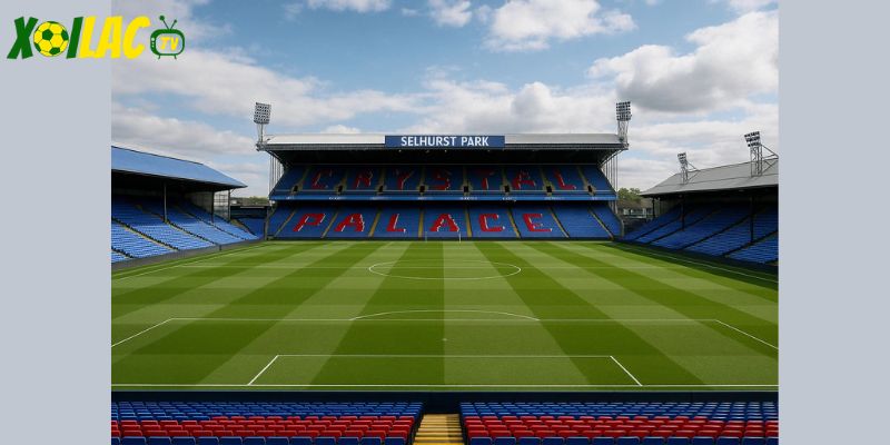 Selhurst Park là điểm tựa trong trận Crystal Palace vs Sunderland.