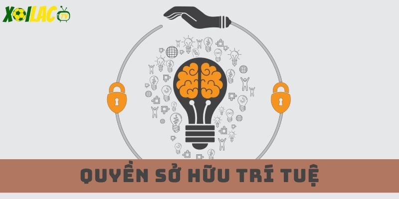 Tôn trọng bản quyền và pháp luật Tôn trọng bản quyền và pháp luật