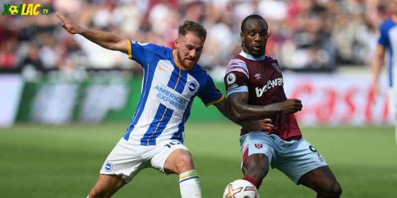 Jarrod Bowen sẵn sàng tỏa sáng trong trận West Ham United vs Brighton & Hove Albion